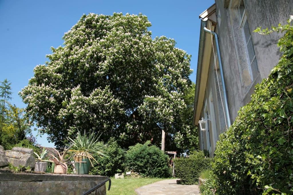 Haus Keppelborg: Zi Antonia Mit Kirchplatzblick Leilighet Heek Eksteriør bilde